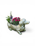 Dackel Blumentopf Groß