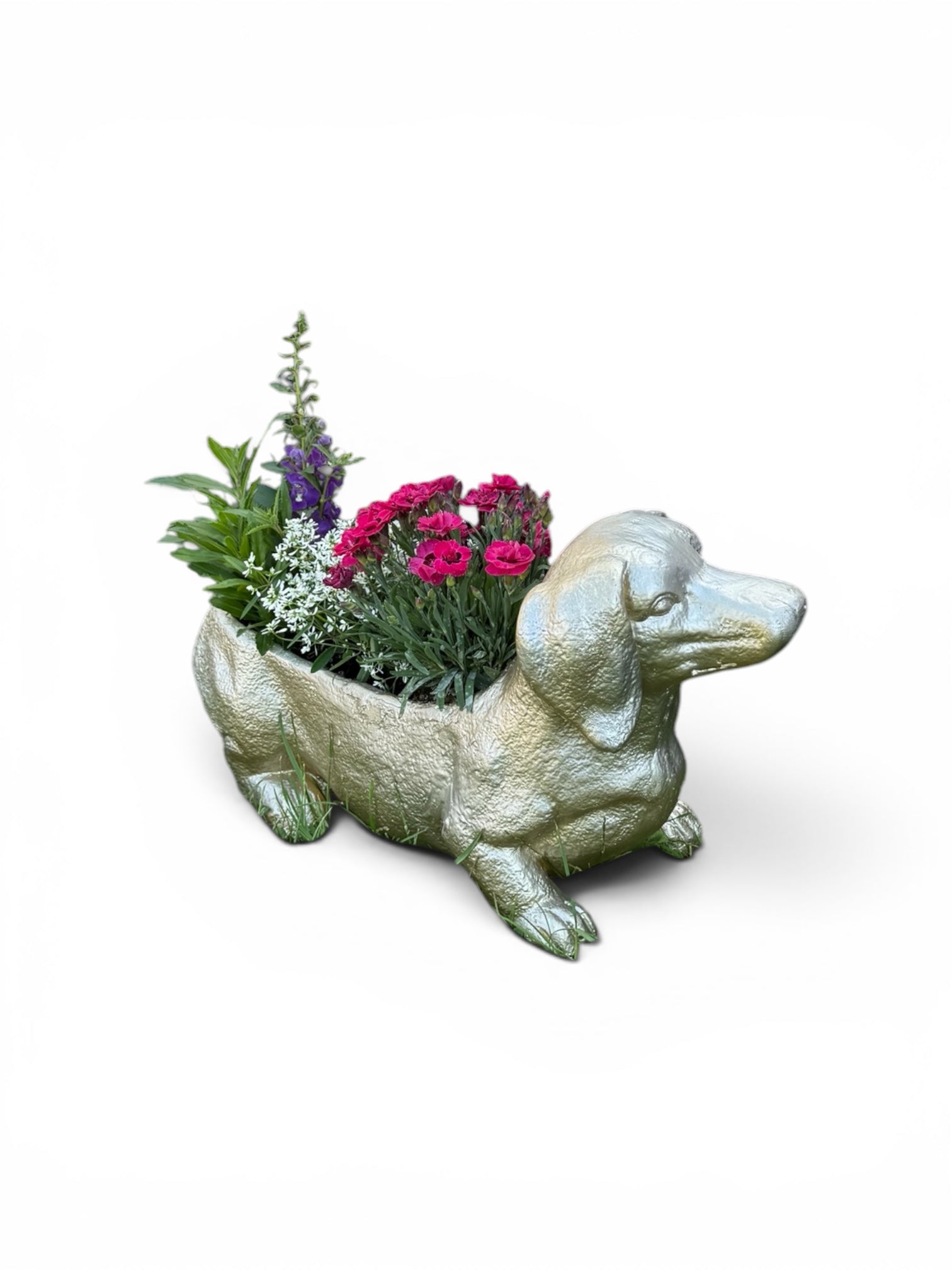 Dackel Blumentopf Groß