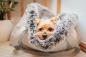 Preview: Unsere FiouStar Kuschelhöhle To Go Light Grey