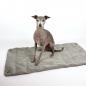 Preview: Hundetragetasche FiouStar Swing Ludivine Brown