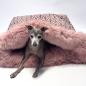 Preview: Kuschelhöhle FiouStar Royal Babylon Pink