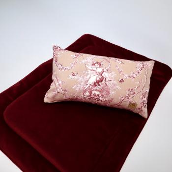 Preview: Hundedecke FiouStar Voyage Rouge