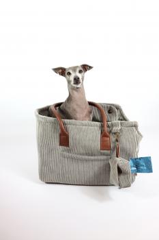 Hundetragetasche FiouStar Swing Ludivine Brown