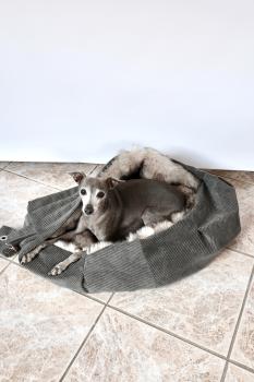 Hundetragetasche FiouStar Cross Cord Green