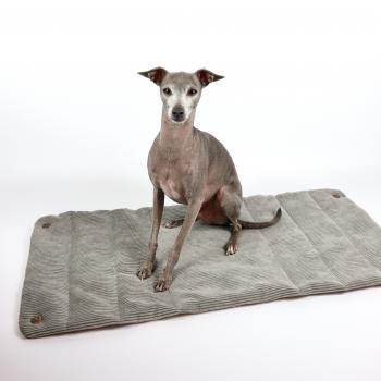 Hundetragetasche FiouStar Swing Ludivine Brown