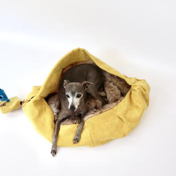 Hundetragetasche FiouStar Cross Cord Green