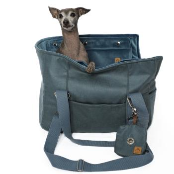 FiouStar Swing Davidson Ice Blue