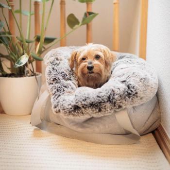 Unsere FiouStar Kuschelhöhle To Go Light Grey