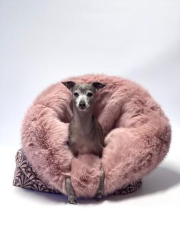 Kuschelhöhle FiouStar Royal Babylon Pink