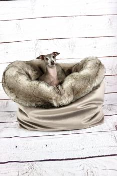 Kuschelhöhle Fiou Star Royal Velour Taupe