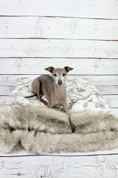 Kuschelhöhle FiouStar Sleepy Romance White