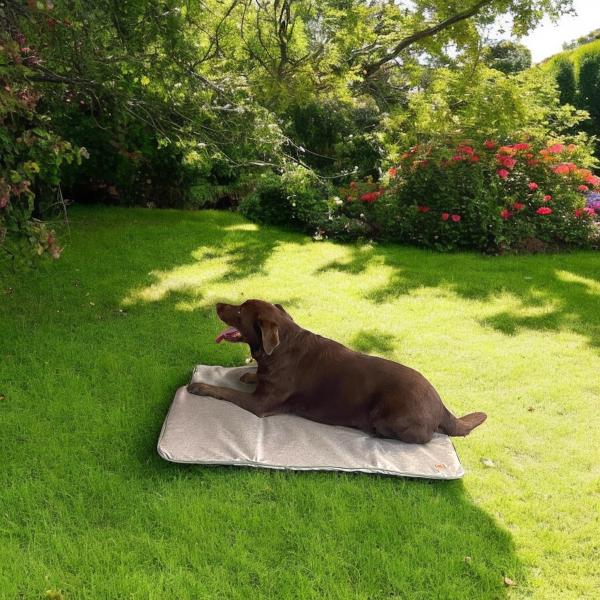 Premium Kühldecke mit Multifunktionaler Hülle.